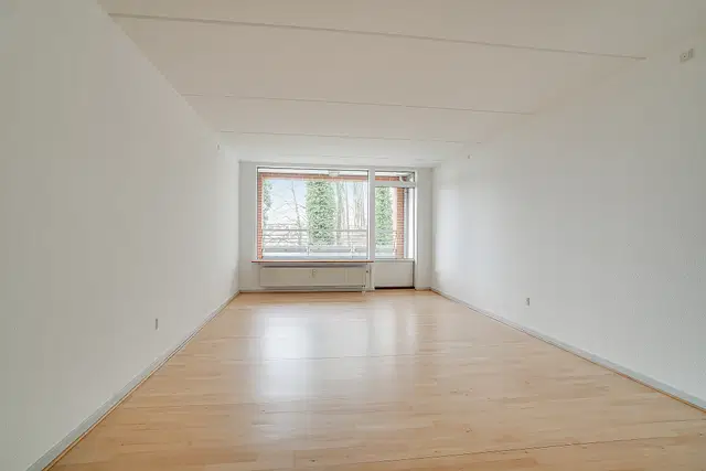 apartment Apartments with Fantastic Views in Hans Broges Have