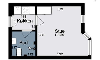 Visual presentation of the listing