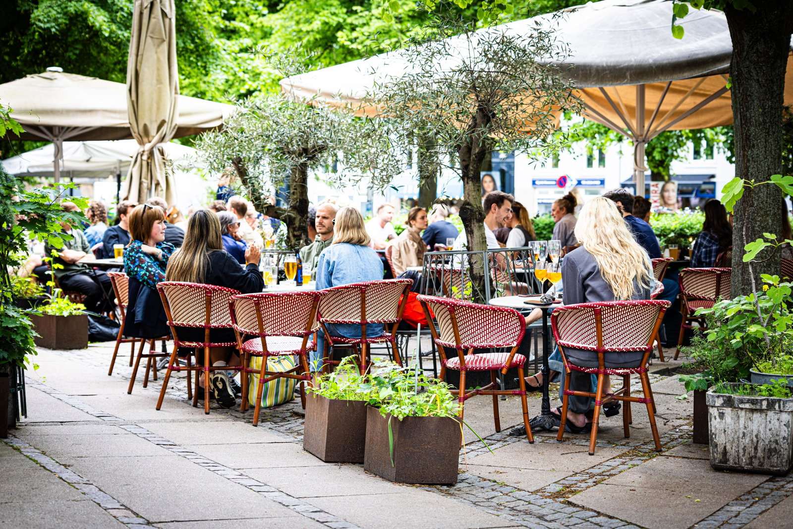apartment Bo til leje i den fede del af Østerbro