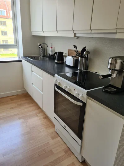 Bright Two-Room Apartment Close to the Fjord and City Life - Schleppegrellsgade, Aalborg - 1