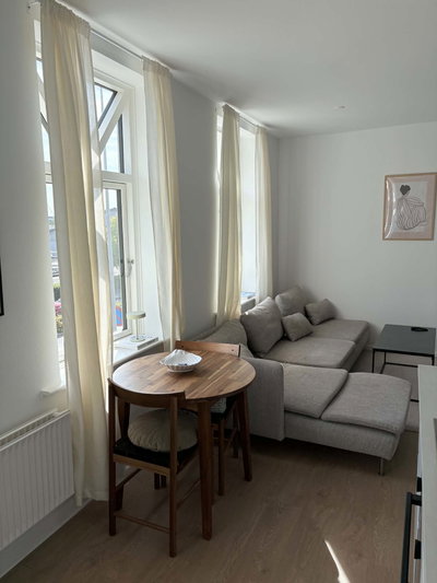 Bright Two-Room Apartment with Balcony/Terrace, Parking and Pets Allowed – 57 m² in Charming City Property - Havnealle, Horsens - 4