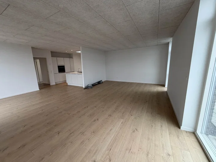 Moderne etplansrækkehus på 120 m² i Viborg - Brudelyset, Viborg - 2
