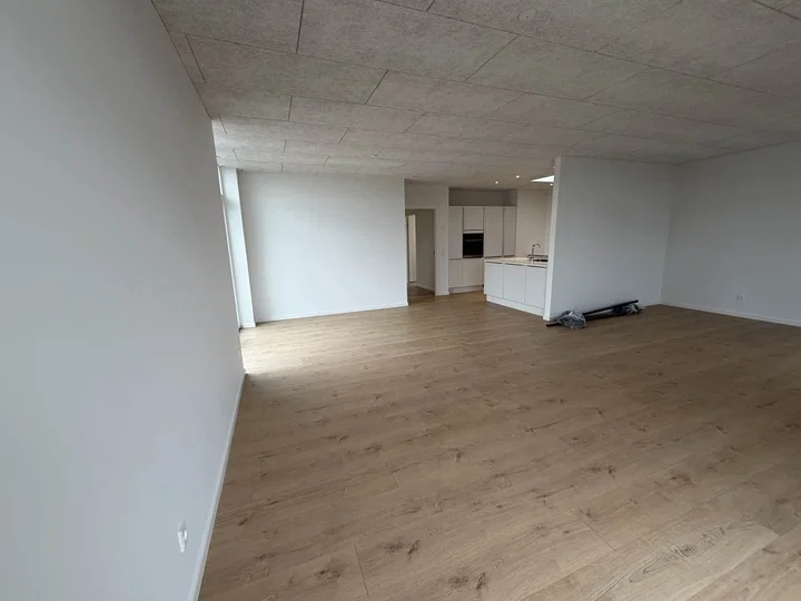 Moderne etplansrækkehus på 120 m² i Viborg - Brudelyset, Viborg - 1