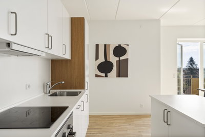 Penthouse med tagterrasse, altan og fjordudsigt - Jernstøberiet, Holbæk - 2