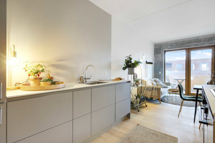 Moderne lejeboliger ved Islands Brygge - Njalsgade, København S - 0