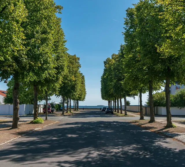 house Herskabelig villa på 580 m² med stor grund ved Sundvejen