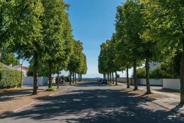 house Herskabelig villa på 580 m² ved Hambros Allé