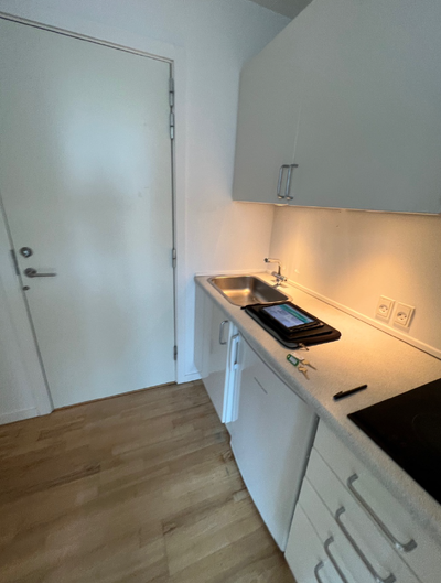 Lys 1-værelses lejlighed på Frederiksberg - Nordre Fasanvej, Frederiksberg - 1