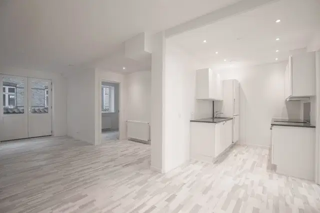 apartment Lys lejlighed i Aalborg med altan – husdyr tilladt