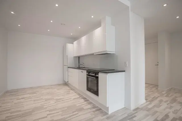 apartment Lys lejlighed med stor altan – husdyr er tilladt