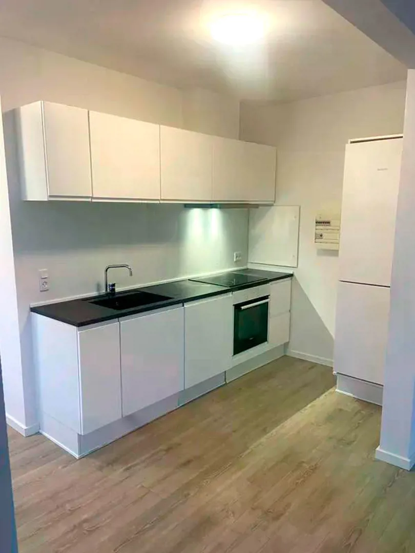 apartment Lys 2-værelses lejlighed med moderne køkken i Vejle