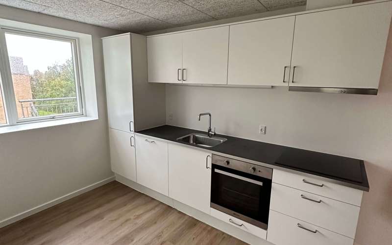 apartment Delevenlig lejlighed med stor privat terrasse