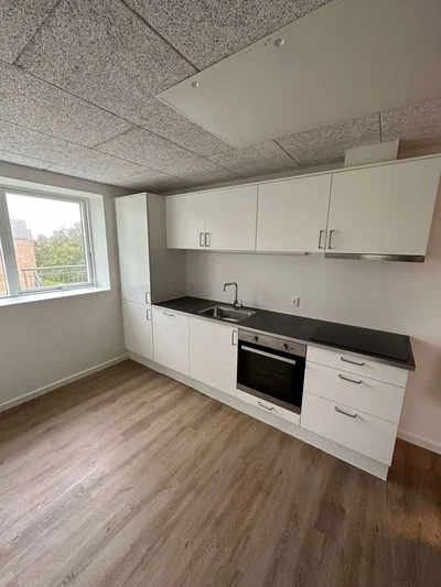 Delevenlig lejlighed med stor privat terrasse - Sømoseparken, Ballerup - 1