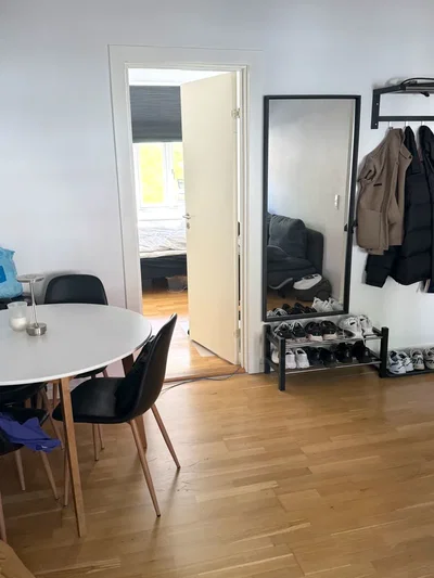 Lys lejlighed med rummelig indretning - Fredericiagade, Vejle - 2