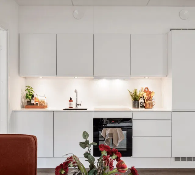 apartment Grønt byliv tæt på Odenses centrum