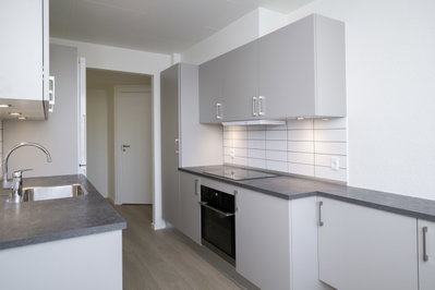 Lys 2-værelses bolig i Aalborg SØ med stor renovering - Ivigtutvej, Aalborg SØ - 3