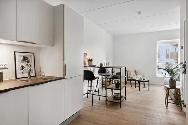 apartment Stylish apartments near the city's pulse