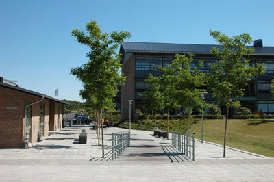 Lejligheder i Rørmosen, Roskilde - grønne fællesarealer - Rørmosen, Roskilde - 2