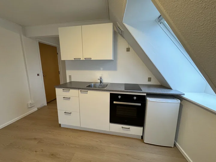 Lys 1-værelses med moderne køkken og vaskemaskine – 28 m2 - Langelandsgade, Hjørring - 0