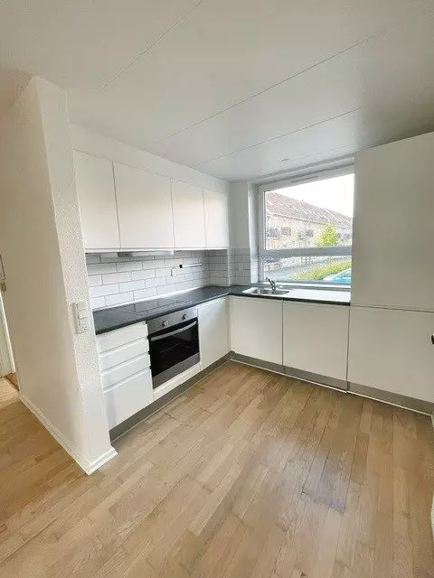 apartment 2-værelses lejlighed på 69 m2 med altan og husdyr tilladt efter aftale