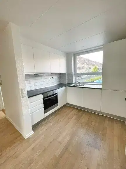 apartment 2-værelses lejlighed på 69 m2 med altan og husdyr tilladt efter aftale