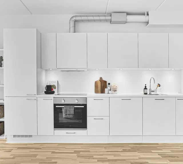 apartment Hyggelig lejlighed med altan og to terrasser