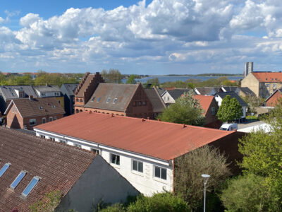 Lys og funktionel 1-værelses på 41 m² i roligt kvarter - Skovvej, Nørresundby - 2