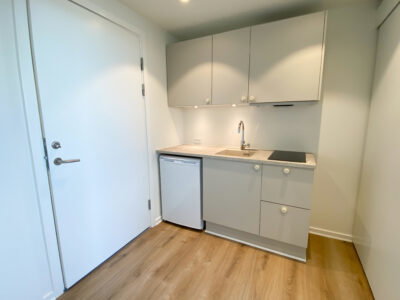 Lys og funktionel 1-værelses på 41 m² i roligt kvarter - Skovvej, Nørresundby - 3