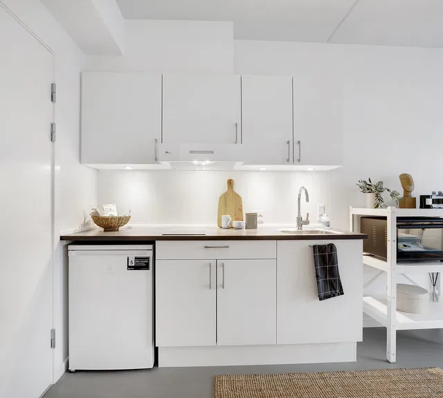 apartment Lys 1-værelses bolig med fransk altan