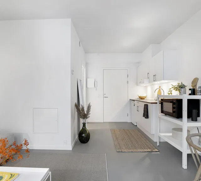 apartment Lys 1-værelses bolig med fransk altan