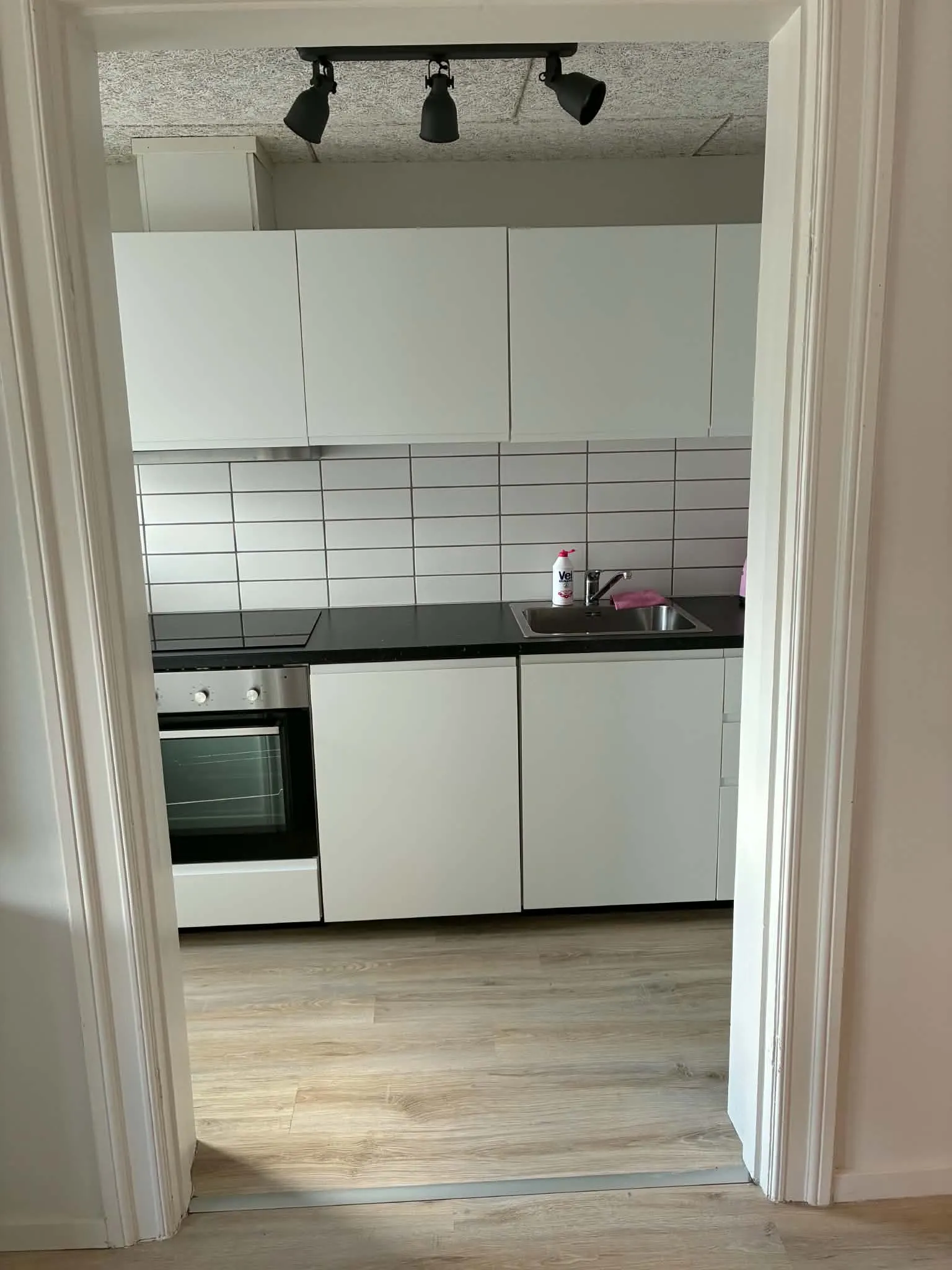 apartment Indbydende lejlighed i Svenstrup J