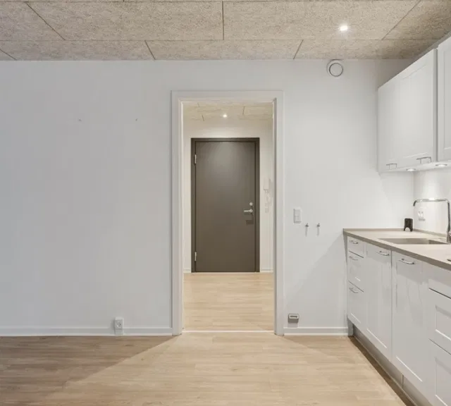 apartment Bright, modern and spacious 2-room apartment of 105 m² for rent in a central location right in the heart of the city