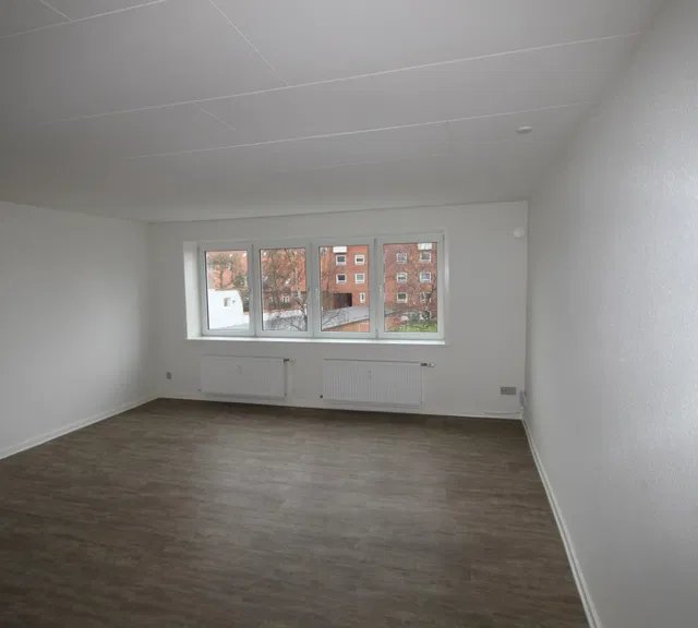 apartment Large Fully Renovated 4-Room Apartment with All Major Appliances