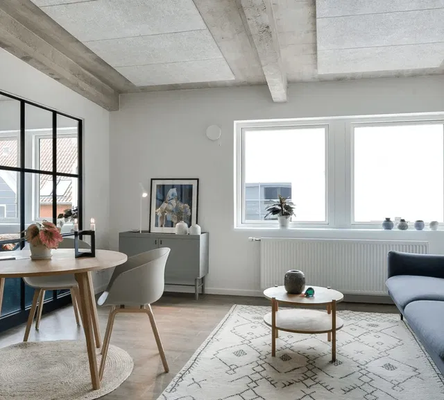 apartment Industriel New Yorker-stil i Aalborg Vestby