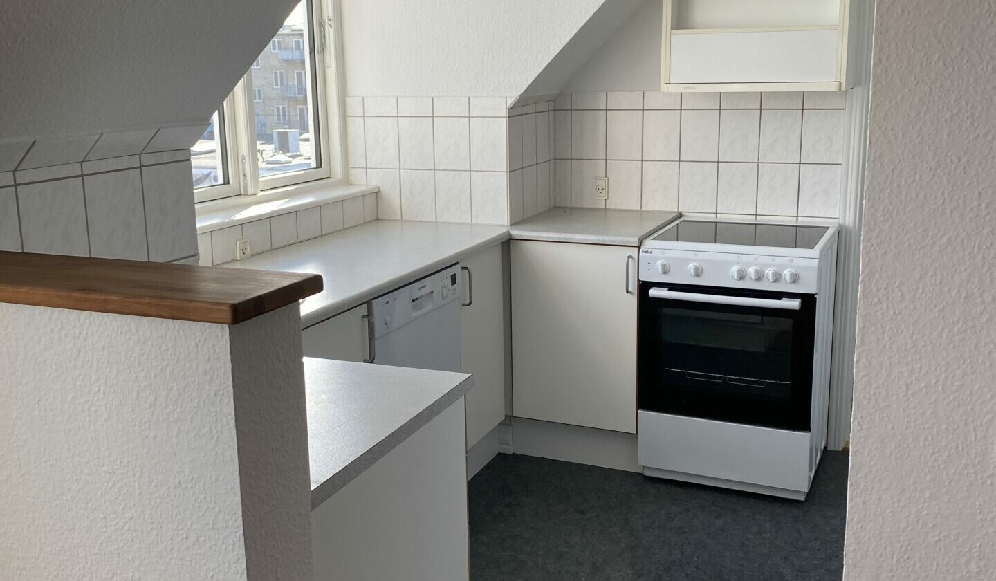 apartment Lys 3-værelses med franske døre nær Aalborg Centrum
