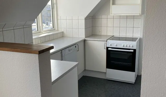 apartment Lys 3-værelses med franske døre nær Aalborg Centrum