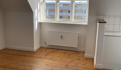 Lys 3-værelses med franske døre nær Aalborg Centrum - Holbergsgade, Aalborg - 3