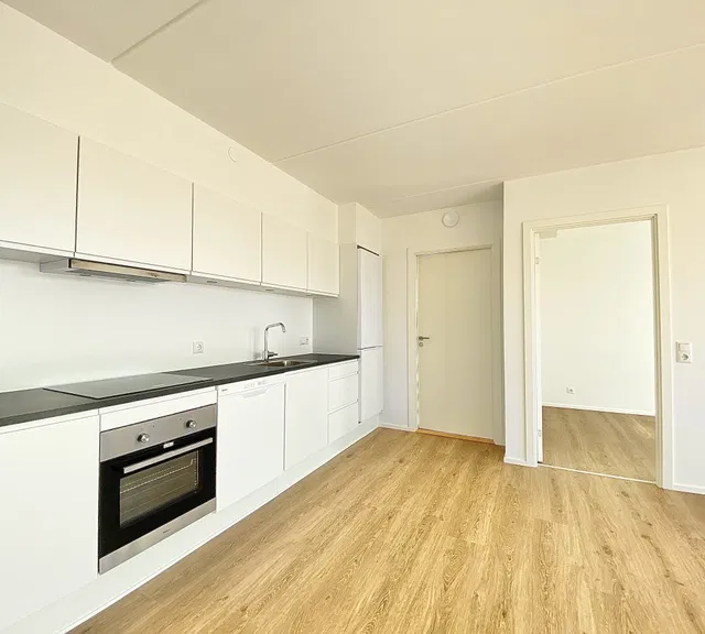 apartment Bright and modern 3-room apartment in Aalborg SV