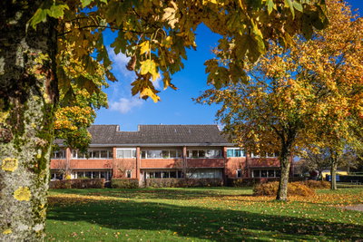 Lejlighed i Holstebro - Danagården, Holstebro - 4