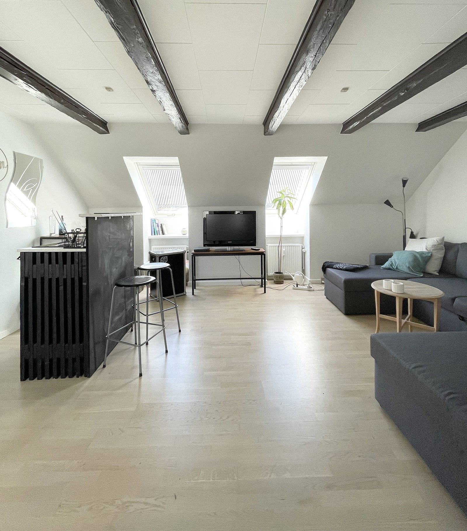 apartment Large and Share-Friendly Apartment in the City Center!