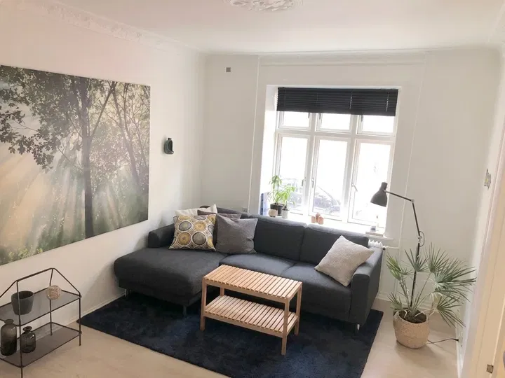 Bright 2-Room Apartment of 69 m² with Balcony and Classic Details - Dalgasgade, Aalborg - 3