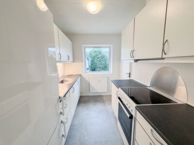 Indbydende stuelejlighed med lyse rum og praktiske løsninger - Vodskovvej, Vodskov - 2