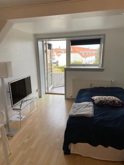 apartment Cozy one-bedroom apartment near Damparken