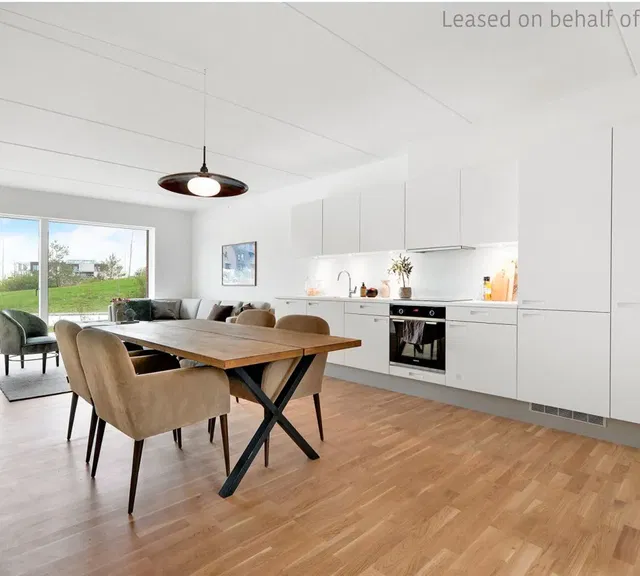 apartment Lys 3-værelses lejlighed i Hedehusene