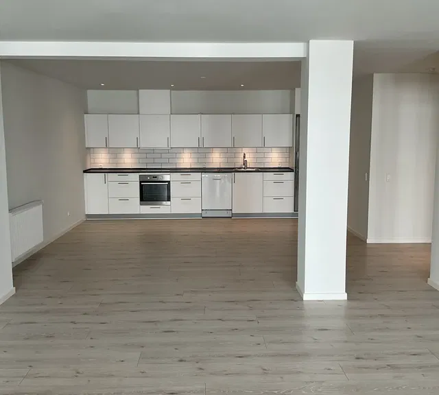 apartment Lys lejlighed med to soveværelser og tagterrasse