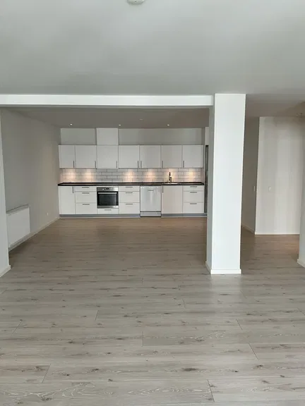 apartment Lys lejlighed med privat tagterrasse i centrum