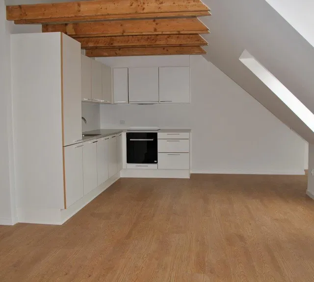 apartment 2 værelses i centrum.