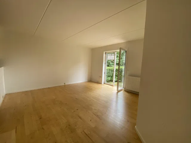 apartment Really Nice Two-Room Apartment with a Brand-New Kitchen
