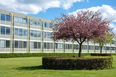 Hyggelig 1-værelses bolig på 33 m² i Herning - Holmparken, Herning - 1