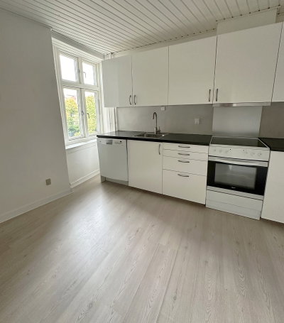 3 værelses lejlighed i Aalborgs absolutte midtby! - Boulevarden, Aalborg - 3